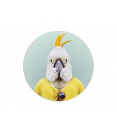 Australian Animal Coasters